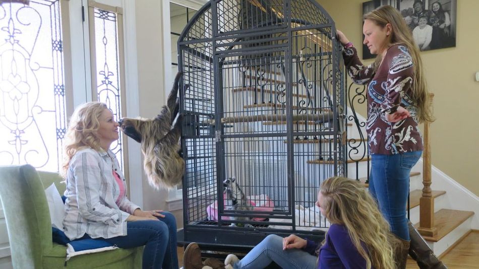 Наша дикая жизнь